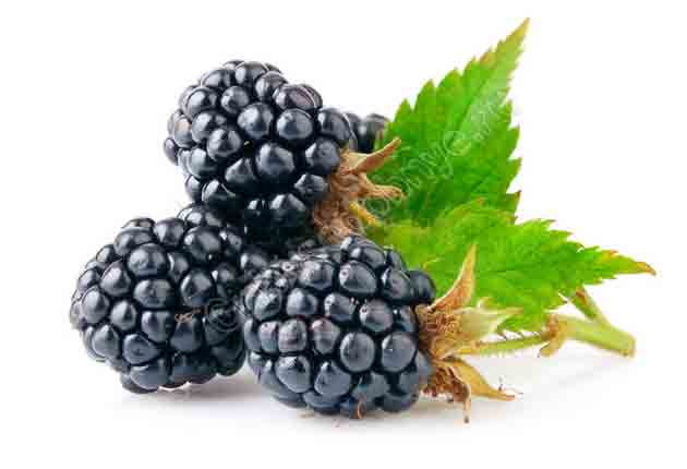 Ежевика - оригинал