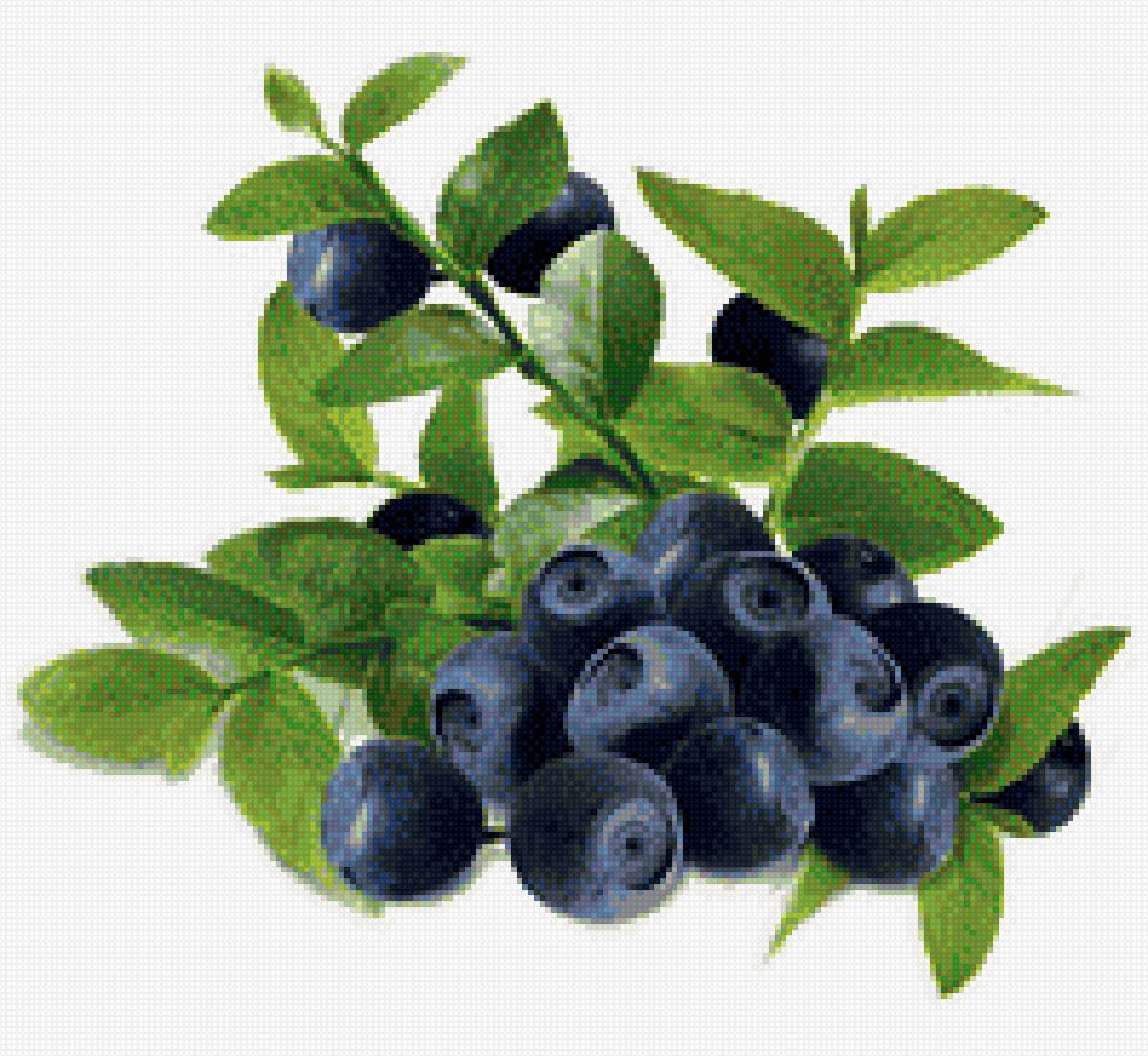 Черника - предпросмотр