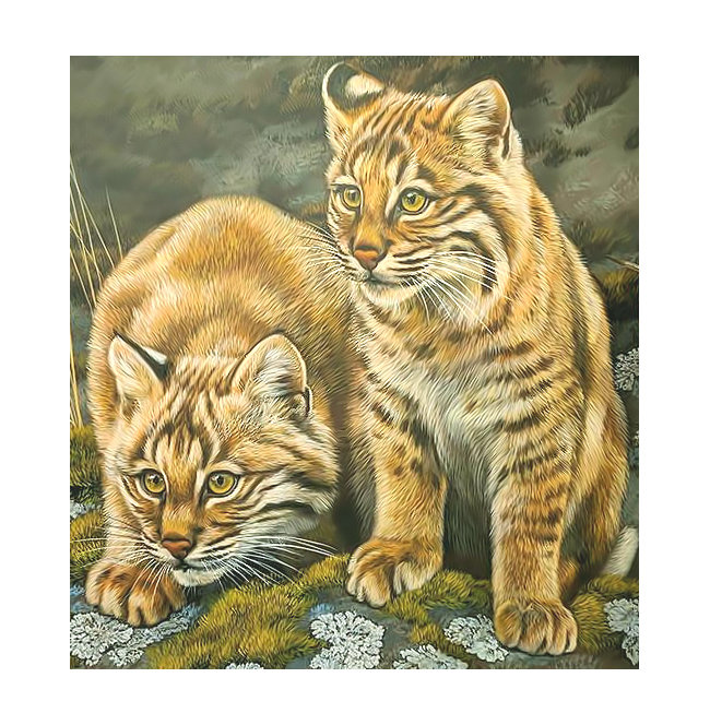 Серия "Хищники". - хищники, животные - оригинал