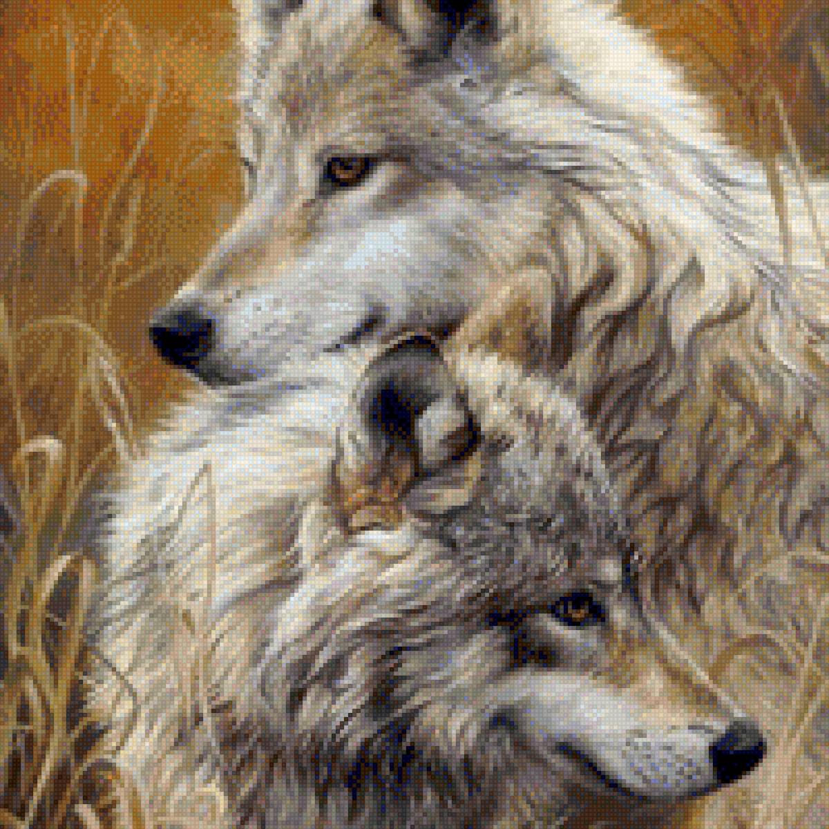 Волки - семья, любовь, волки, гармония - предпросмотр