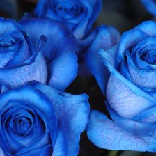 Схема вышивки «Голубые розы»