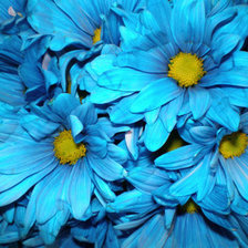 Схема вышивки «Цветы»