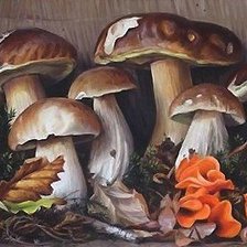 Схема вышивки «ГРИБОЧКИ»