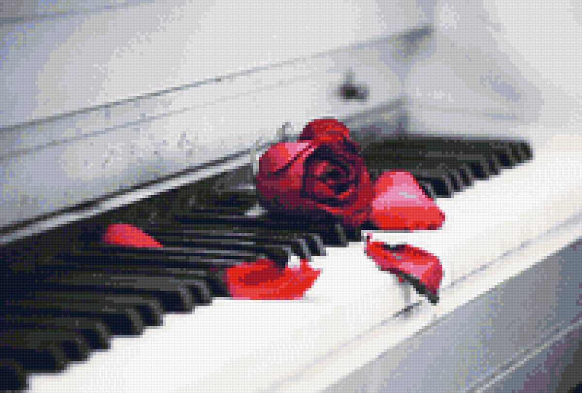 Роза и рояль - предпросмотр