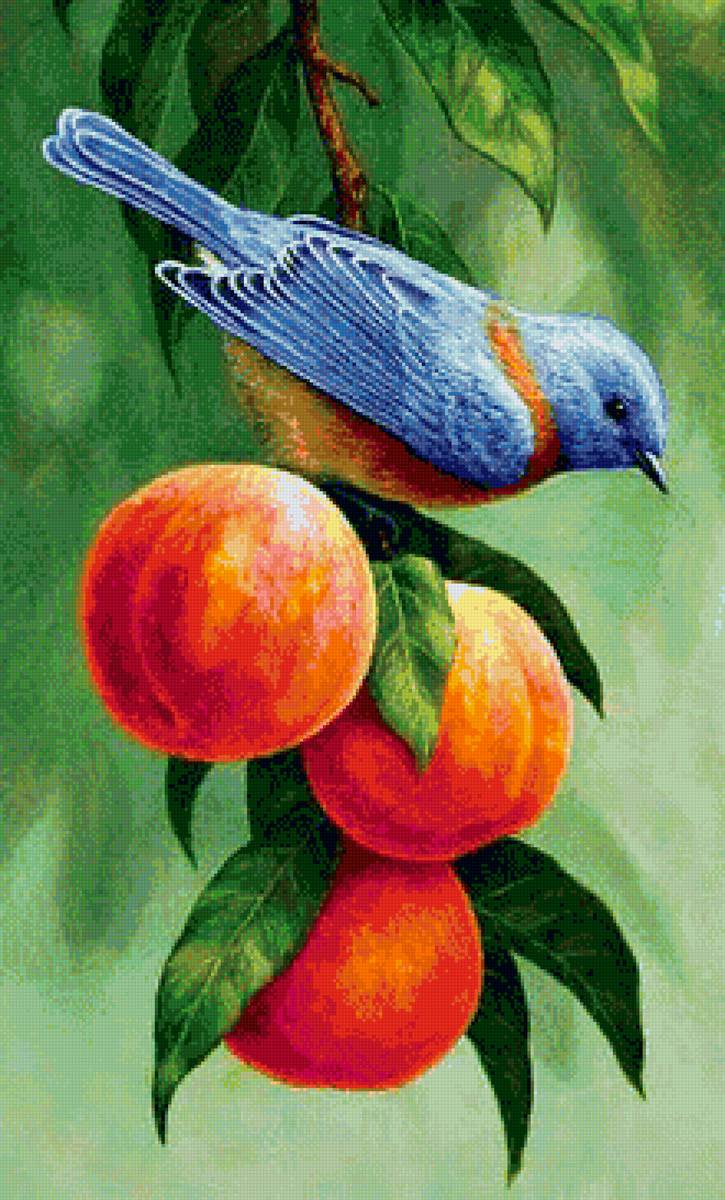 птица на ветке - фрукты, птицы - предпросмотр
