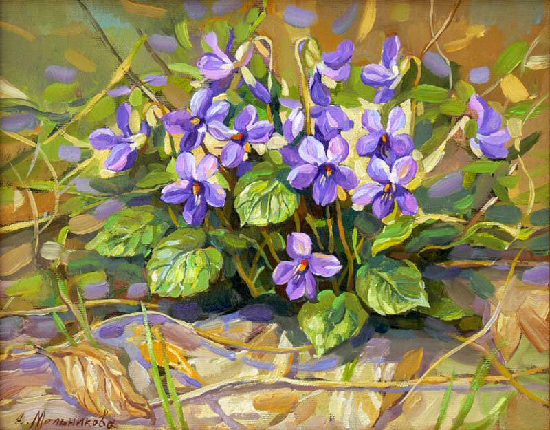 Фиалки - природа, фиалки, весна - оригинал