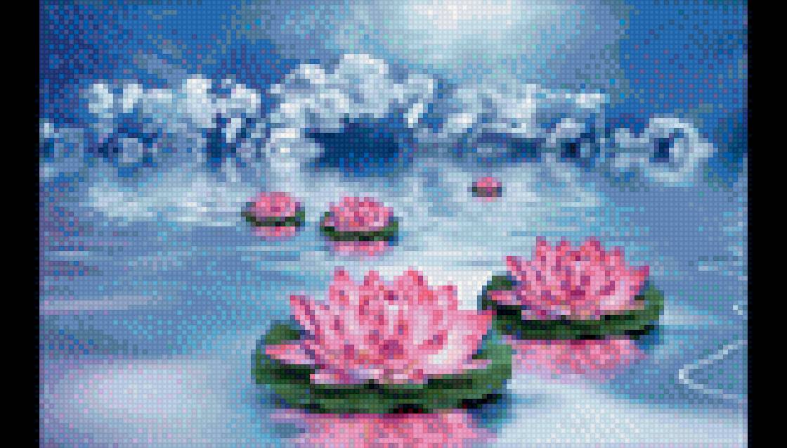 Лотос - цветы, озеро, лотос - предпросмотр