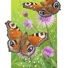 Оригинал схемы вышивки «бабочки» (№1863982)