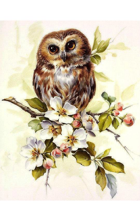 Совушка - птицы - оригинал