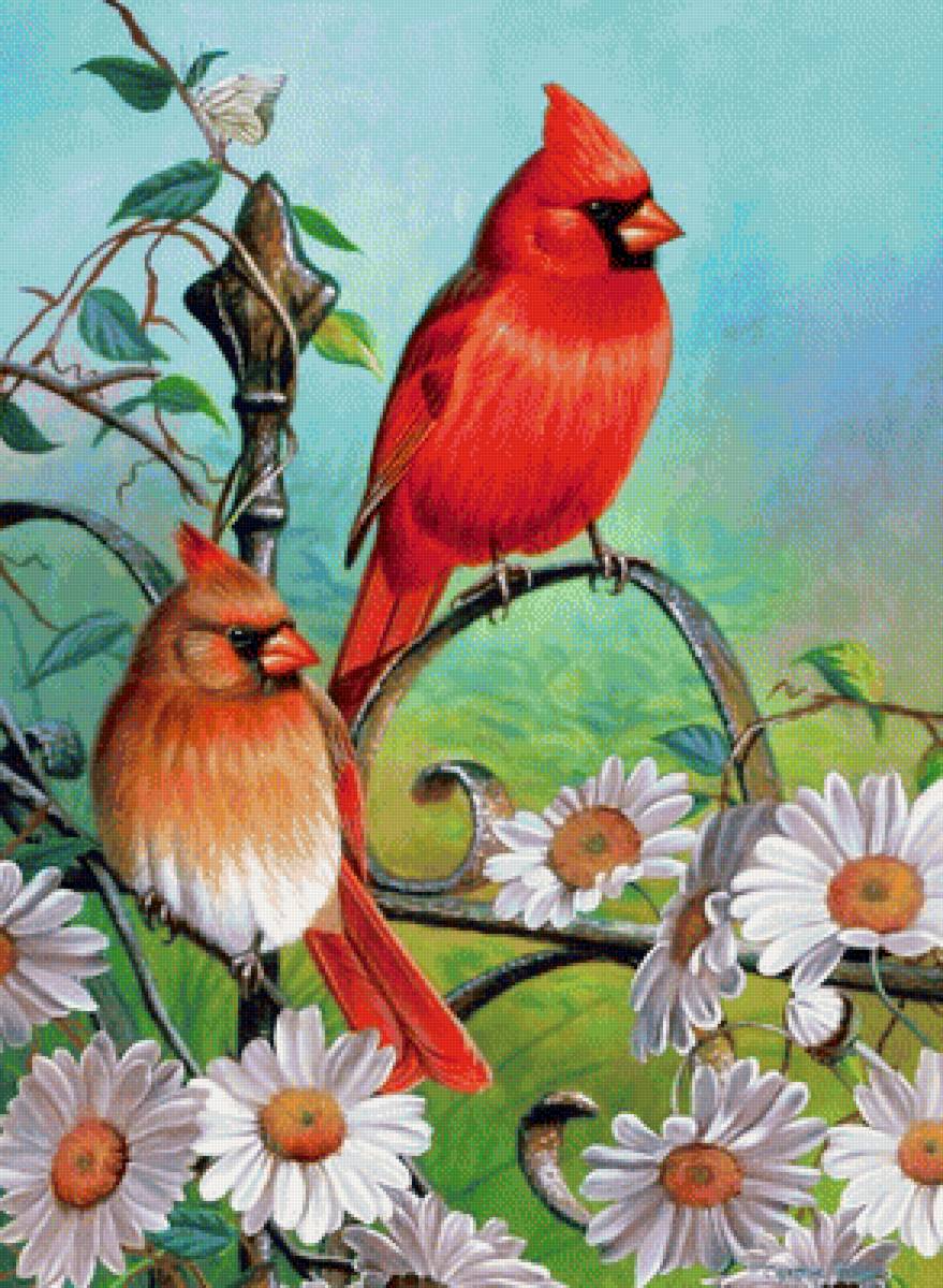Птицы на изгороди - изгородь, цветы, ромашки, птицы, забор, живопись - предпросмотр
