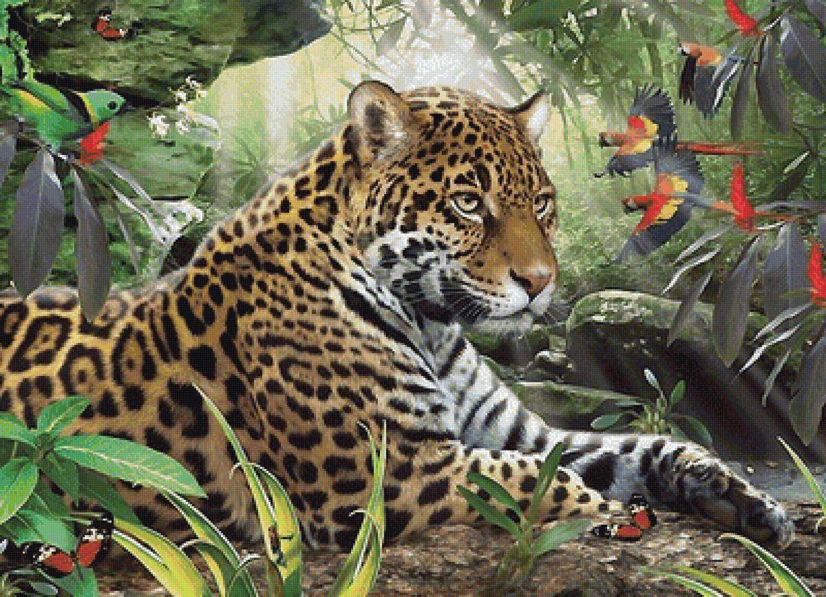 леопард - мир животных - предпросмотр