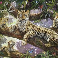 грациозное семейство