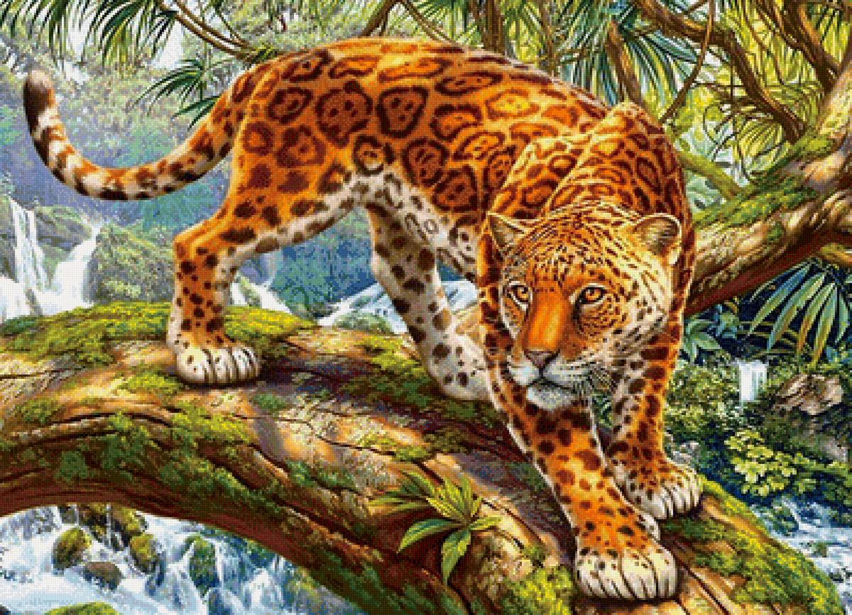 ягуар - мир животных - предпросмотр