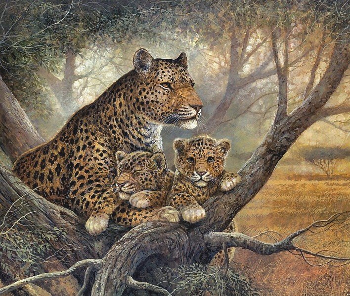 семья леопардов - мир животных - оригинал
