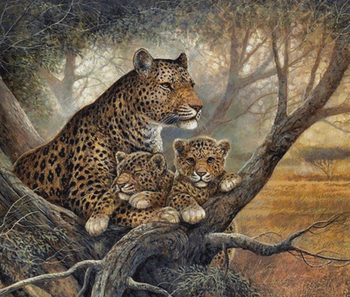 семья леопардов - мир животных - предпросмотр