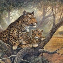 Схема вышивки «семья леопардов»