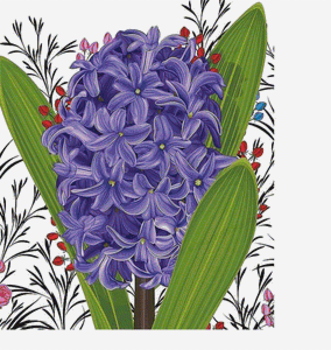 Гиацинт - весенние цветы, цветы - предпросмотр