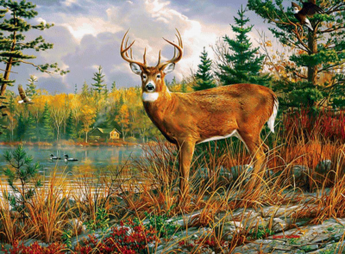 Серия "Пейзаж" - лес, речка, олениха, пейзаж, природа - предпросмотр