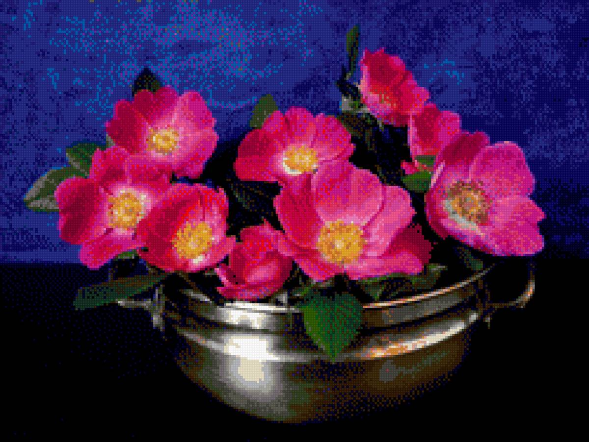 красный шиповник - цветы - предпросмотр