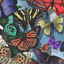 Оригинал схемы вышивки «бабочки» (№1865517)