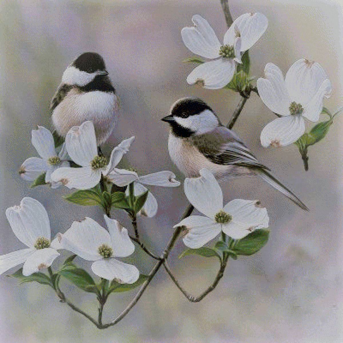 Птицы на ветке - птички, птицы, цветение, живопись, ветка - предпросмотр