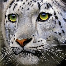 Схема вышивки «Белый леопард»