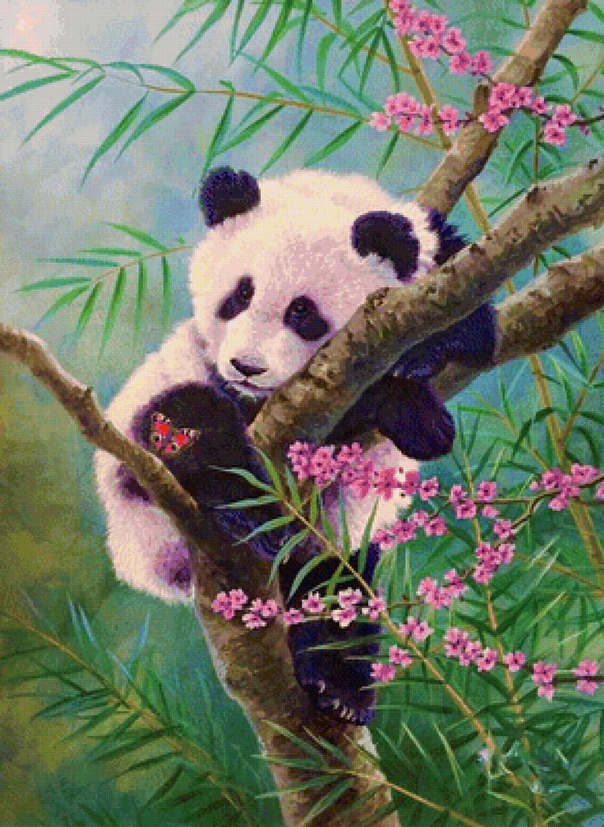 Панда на дереве - дерево, панда, бабочка, животные, рисунок - предпросмотр