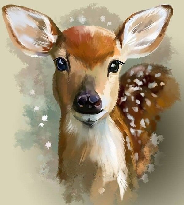 Оленёнок - животные, олененок, олень - оригинал