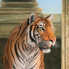 Схема вышивки «Тигр»