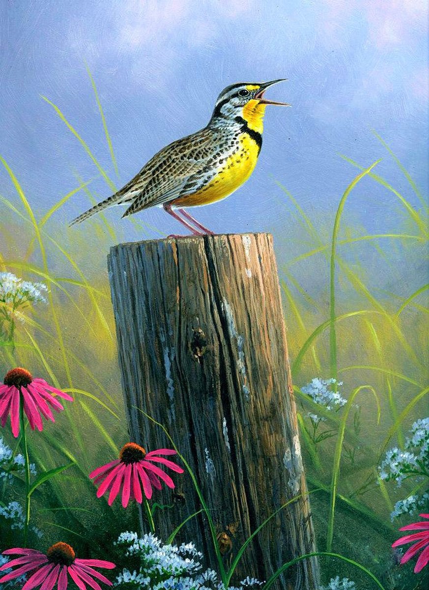 Птичка - живопись, цветы, птица, картина, птичка, природа - оригинал