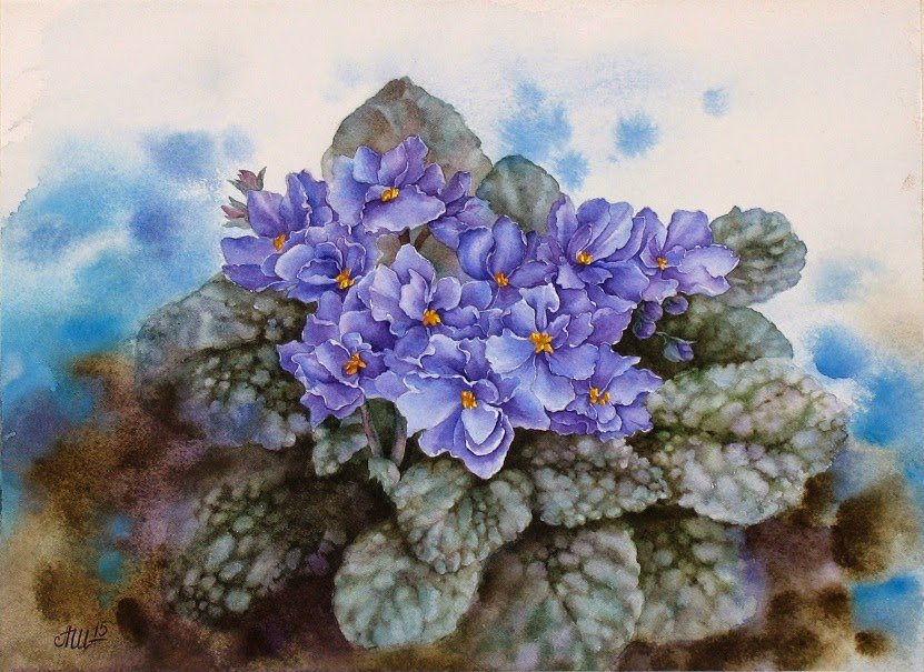 Фиалки - весна, природа, фиалки - оригинал