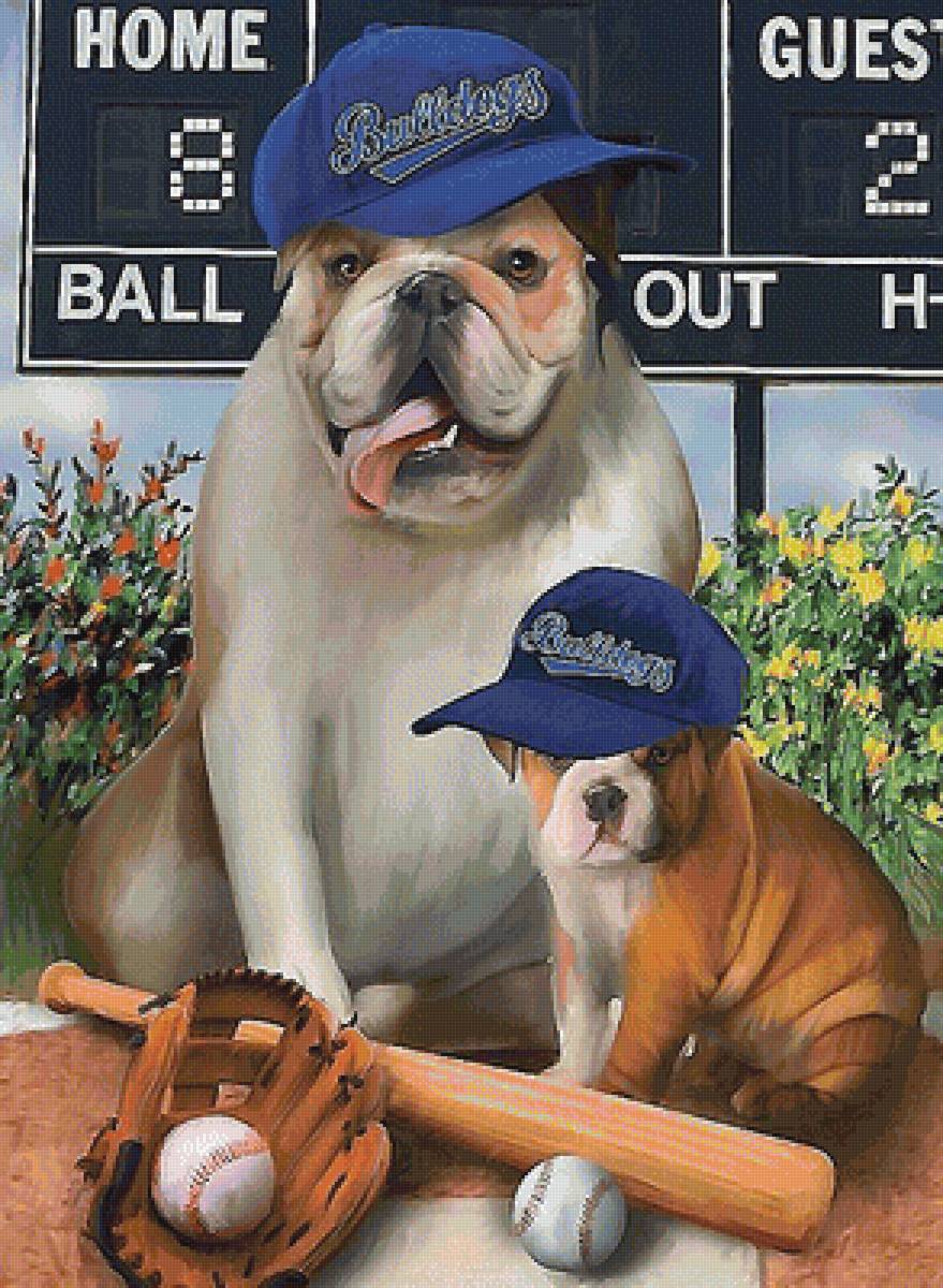 команда - собаки - предпросмотр