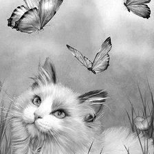 Схема вышивки «кот и бабочки»
