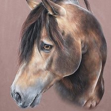 Схема вышивки «рисунок»