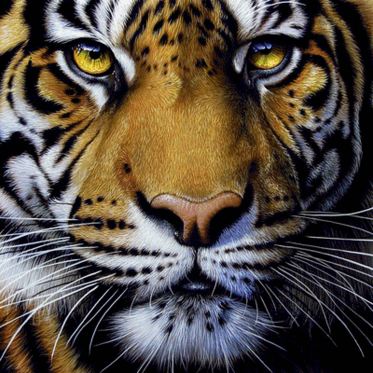 Тигр - тигр, животные, рисунок - предпросмотр