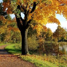 природа пейзаж дом