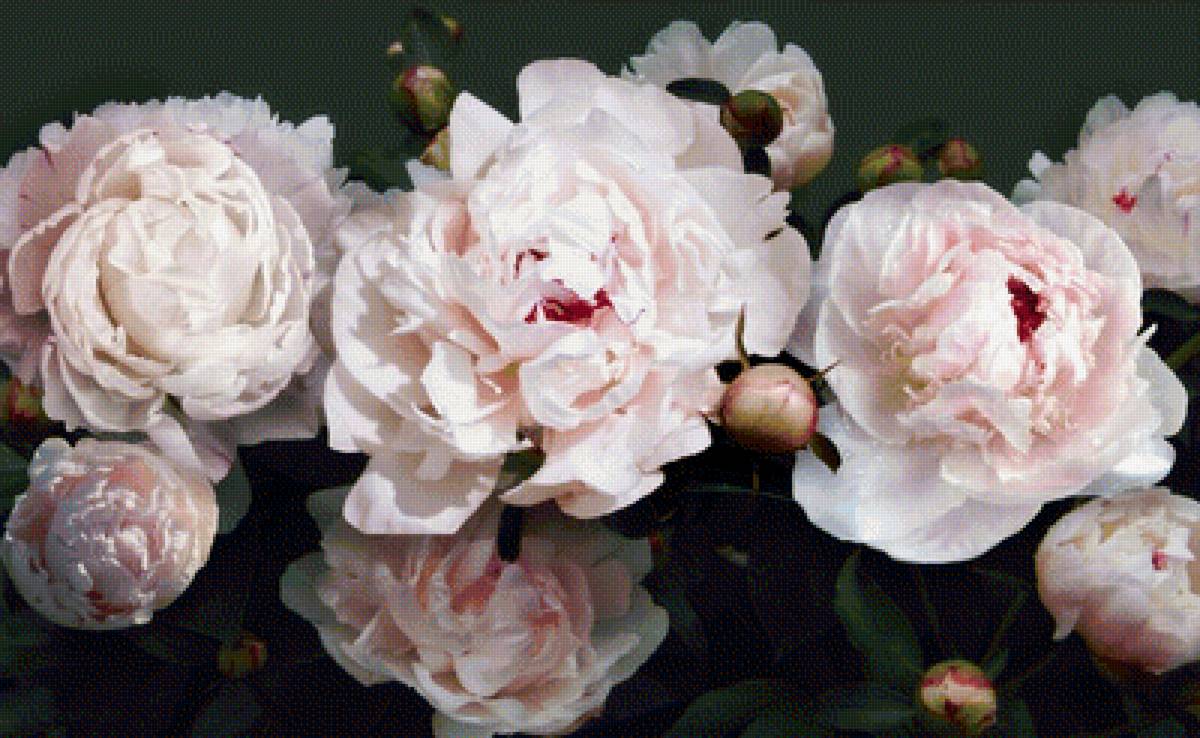 цветы натюрморт - предпросмотр