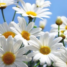 Схема вышивки «цветы натюрморт»