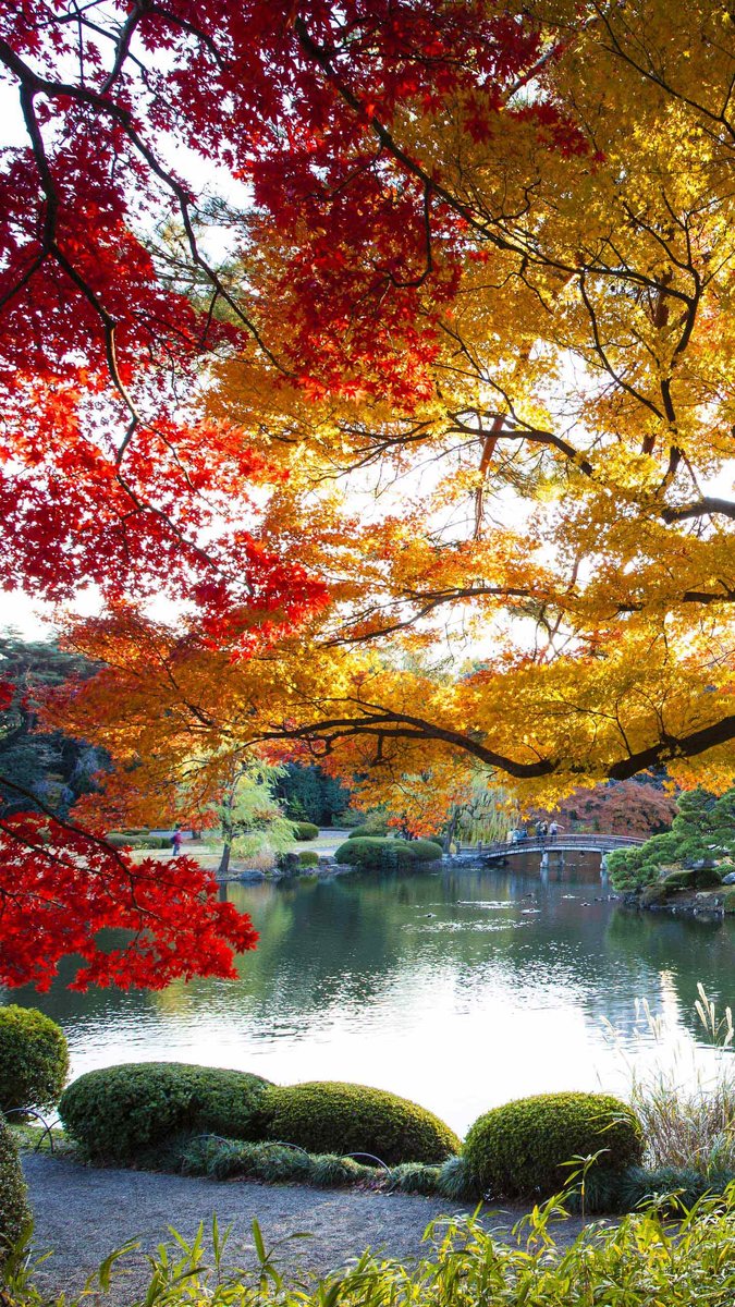 prolet - оригинал