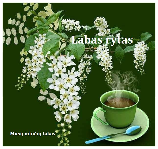 весна - оригинал