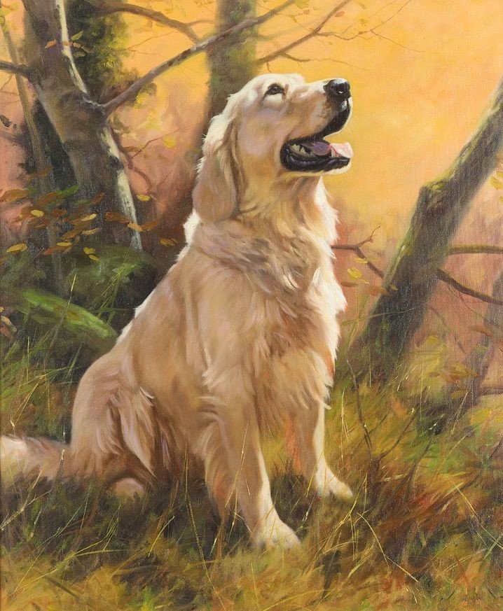 Ретривер - друг, животные, природа, лес, картина, питомец, собака - оригинал