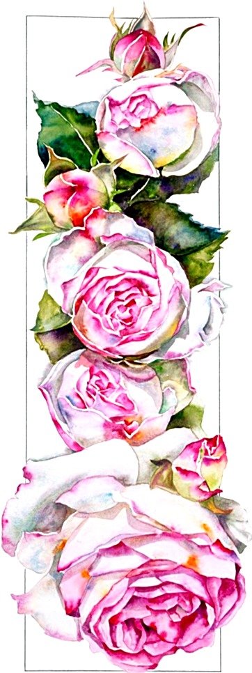 №1867622 - розы - оригинал