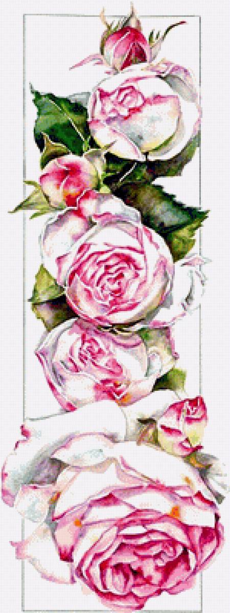 №1867622 - розы - предпросмотр