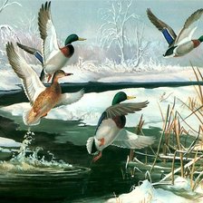 Схема вышивки «Дикие утки»