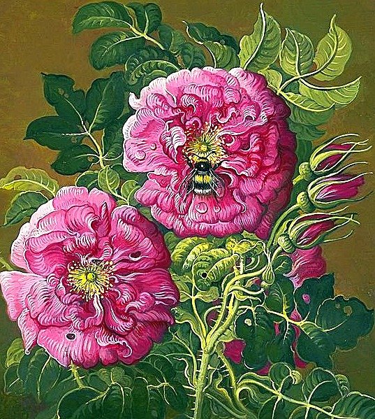 №1868121 - пионы - оригинал