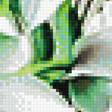 Предпросмотр схемы вышивки «орхидеи» (№1868149)