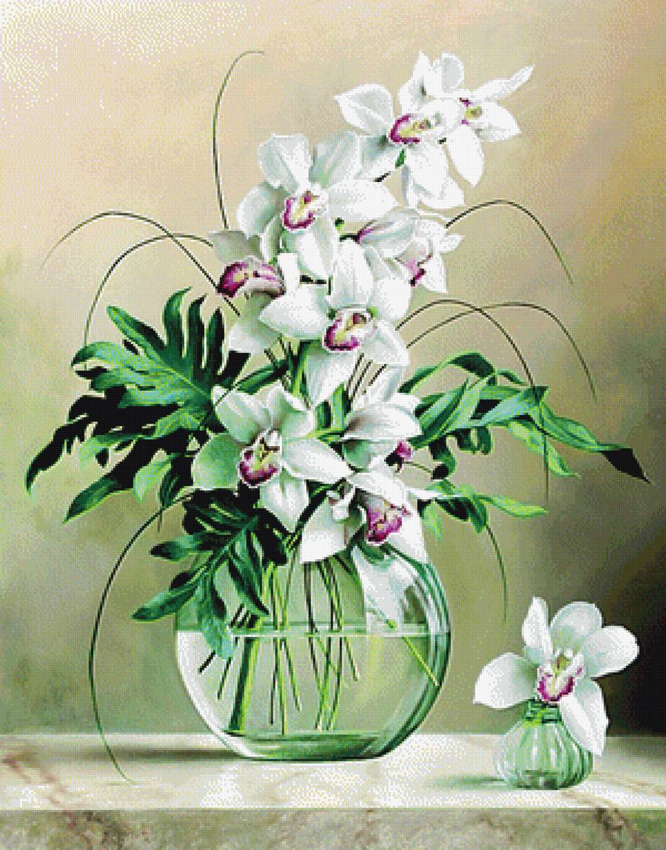 орхидеи - предпросмотр