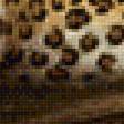 Предпросмотр схемы вышивки «Леопард» (№1868594)