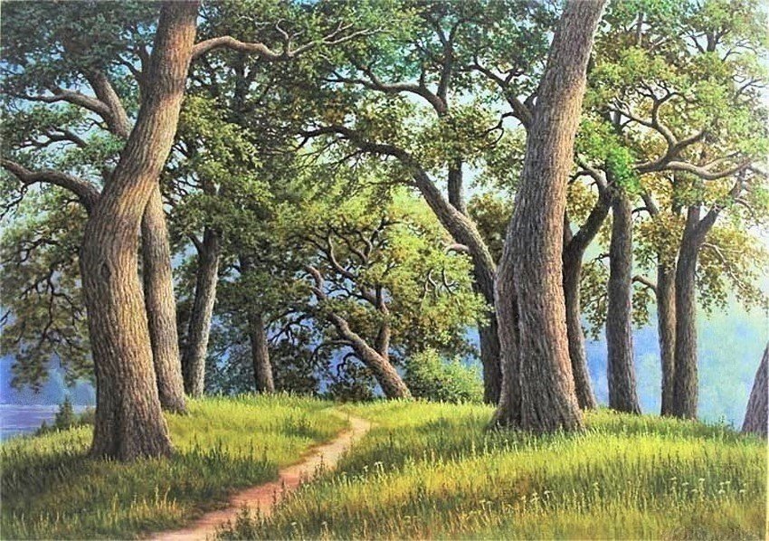 №1868599 - лето, дуб, природа - оригинал