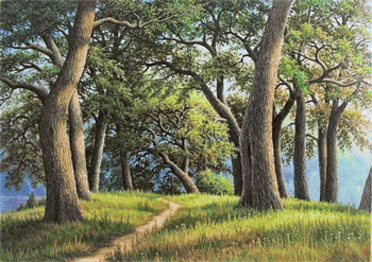 №1868599 - лето, природа, дуб - предпросмотр